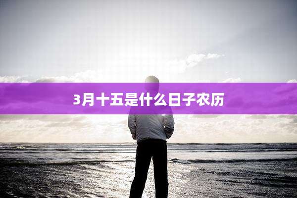 3月十五是什么日子农历