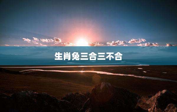 生肖兔三合三不合