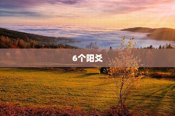 6个阳爻