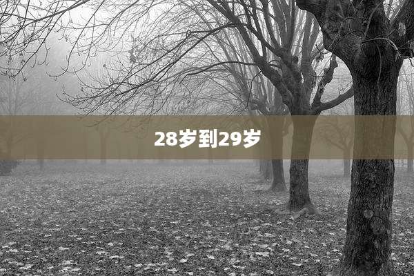 28岁到29岁