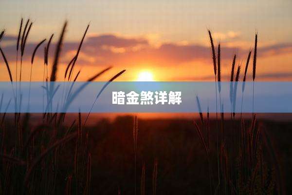 暗金煞详解