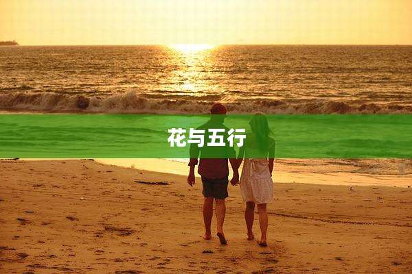 花与五行