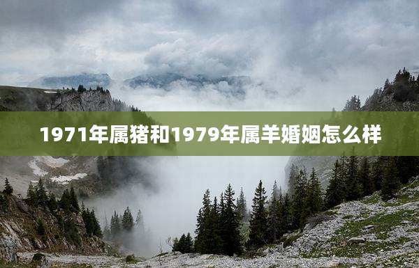 1971年属猪和1979年属羊婚姻怎么样