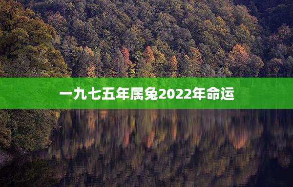 一九七五年属兔2022年命运