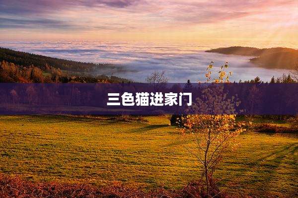 三***进家门
