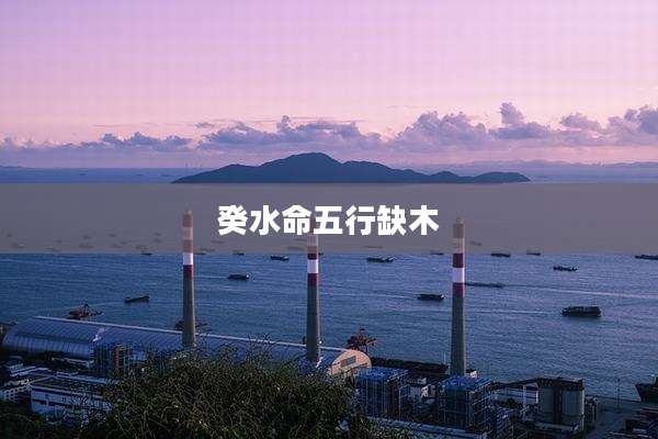 癸水命五行缺木