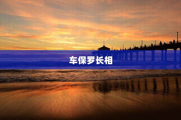 车保罗长相