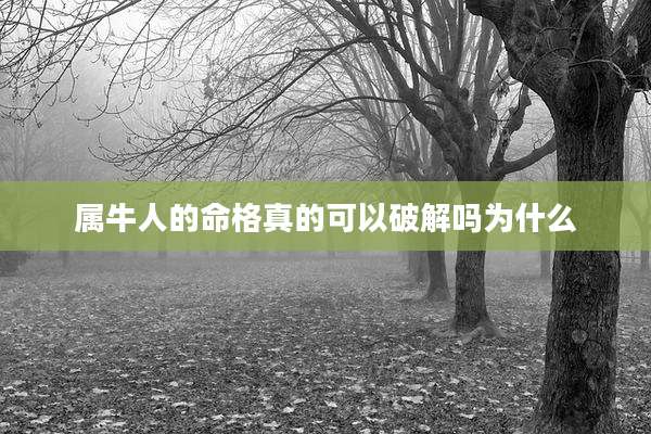 属牛人的命格真的可以破解吗为什么