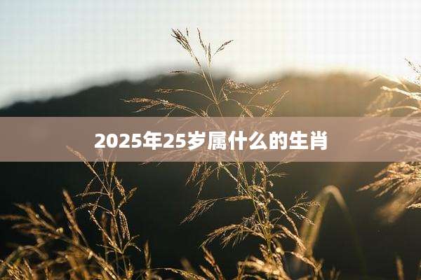 2025年25岁属什么的生肖