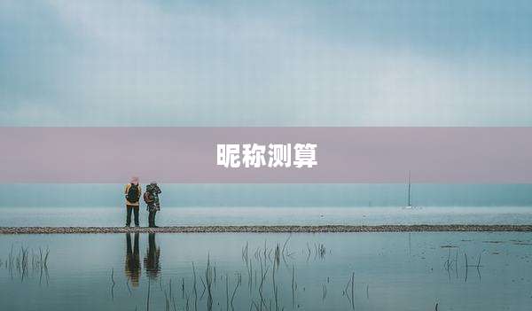 昵称测算
