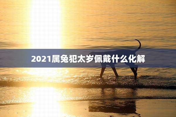 2021属兔犯太岁佩戴什么化解