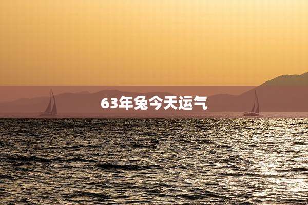 63年兔今天运气