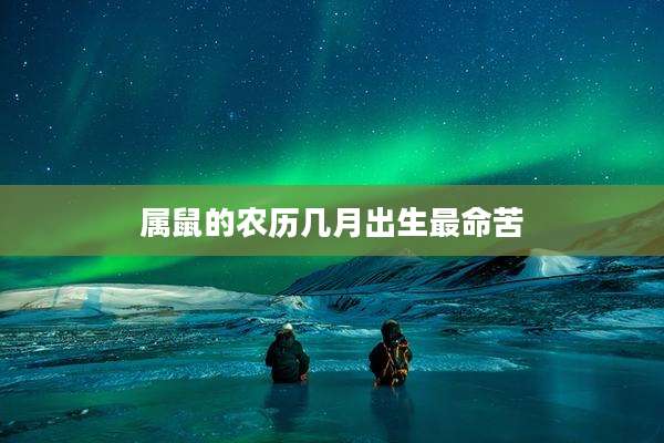 属鼠的农历几月出生最命苦