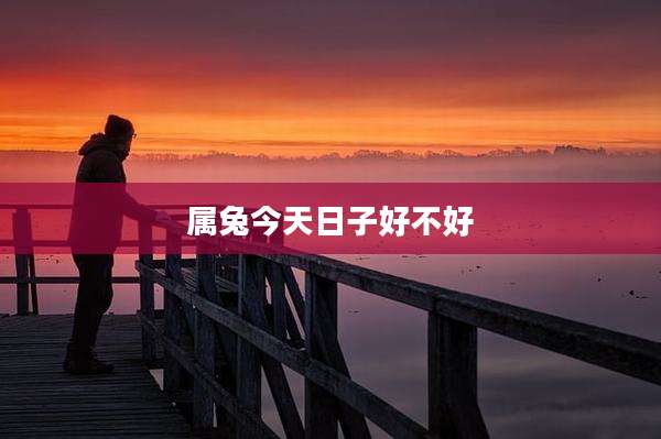 属兔今天日子好不好