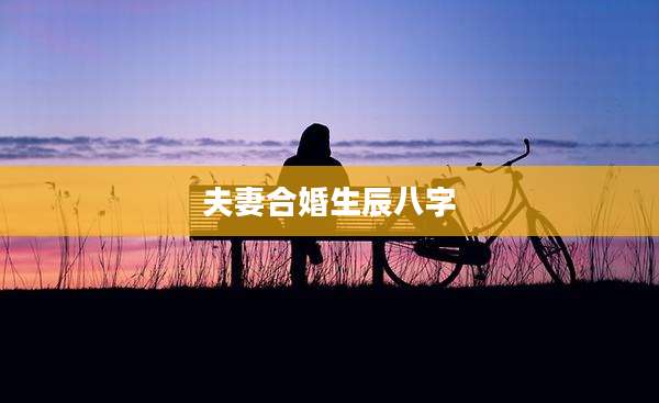 夫妻合婚生辰八字