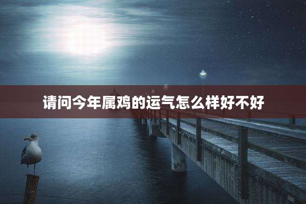 请问今年属鸡的运气怎么样好不好