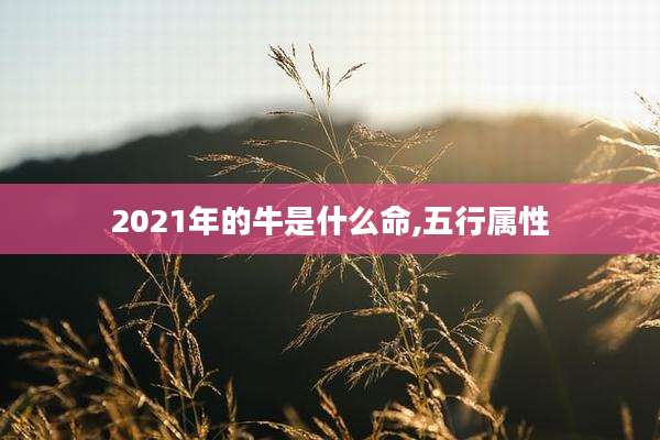 2021年的牛是什么命,五行属性
