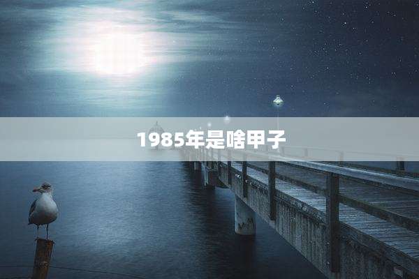 1985年是啥甲子