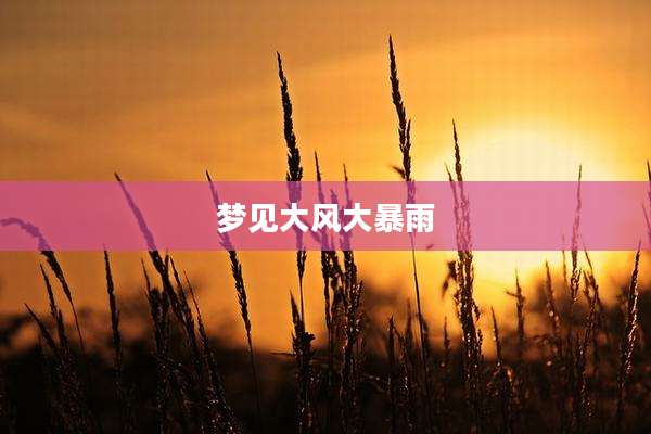 梦见大风大暴雨