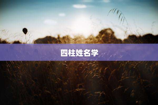 四柱姓名学