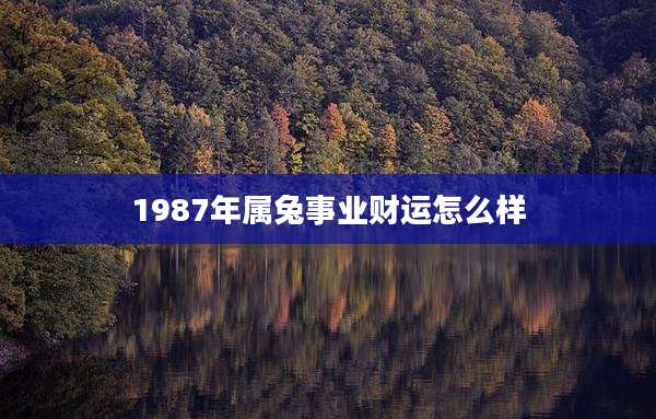 1987年属兔事业财运怎么样