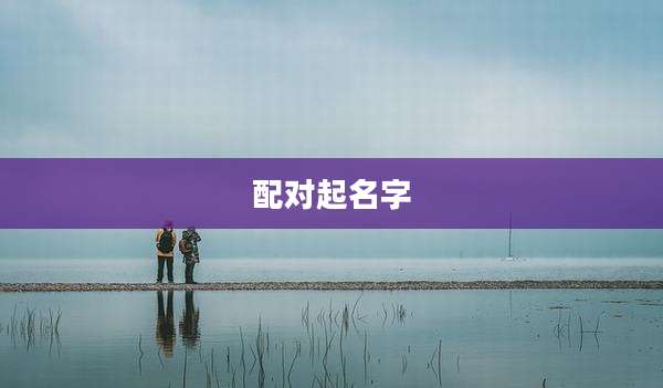 配对起名字
