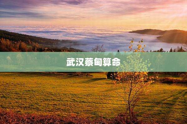 武汉蔡甸算命