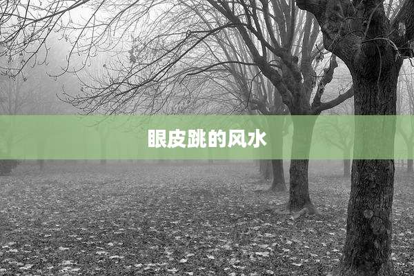眼皮跳的风水