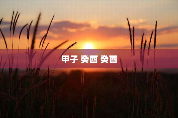 甲子 癸酉 癸酉