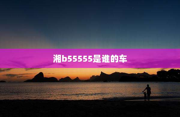 湘b55555是谁的车
