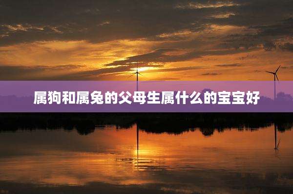 属狗和属兔的父母生属什么的宝宝好