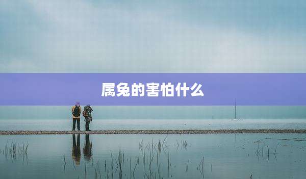 属兔的害怕什么