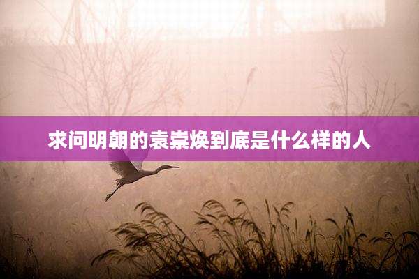求问明朝的袁崇焕到底是什么样的人