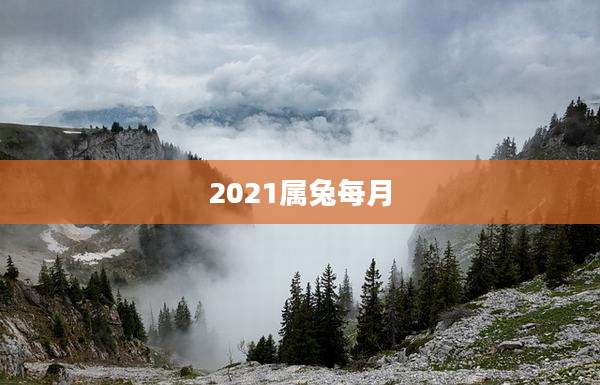 2021属兔每月