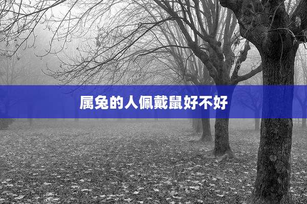 属兔的人佩戴鼠好不好
