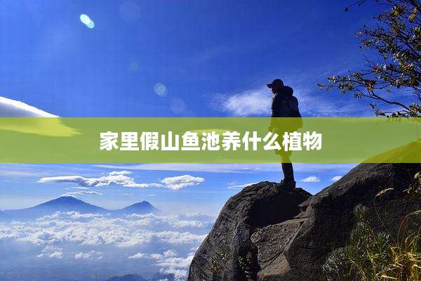 家里假山鱼池养什么植物