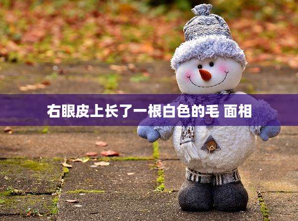 右眼皮上长了一根白色的毛 面相