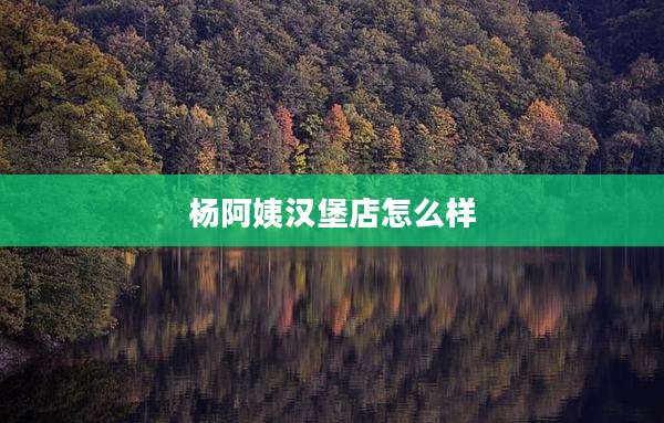 杨阿姨汉堡店怎么样
