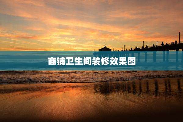 商铺卫生间装修效果图