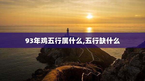 93年鸡五行属什么,五行缺什么
