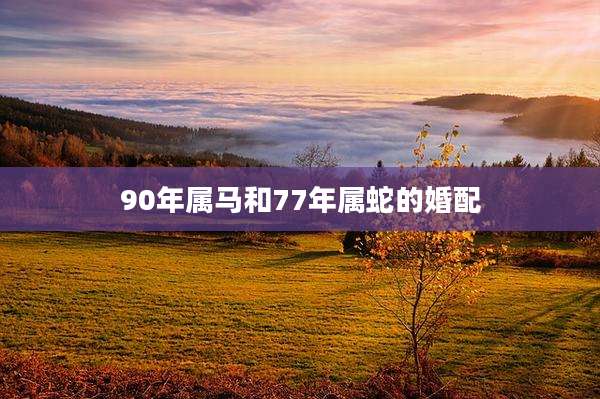 90年属马和77年属蛇的婚配
