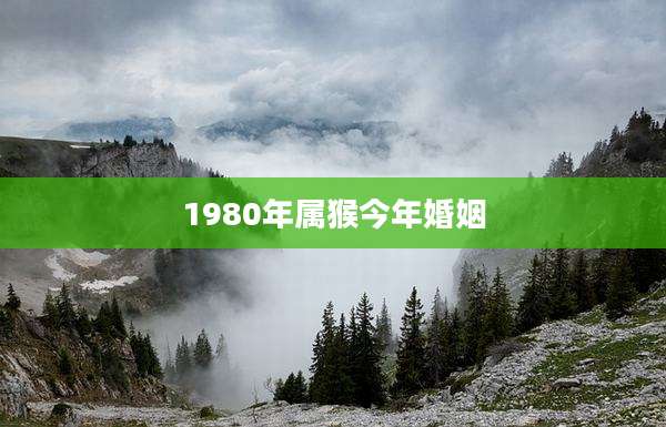 1980年属猴今年婚姻