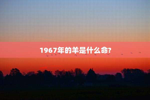 1967年的羊是什么命?