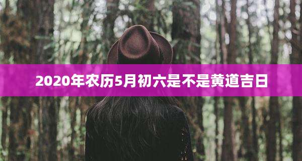 2020年农历5月初六是不是黄道吉日