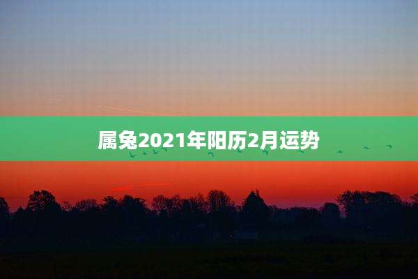 属兔2021年阳历2月运势