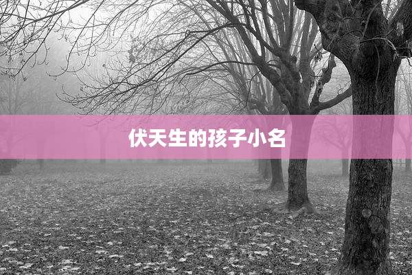 伏天生的孩子小名