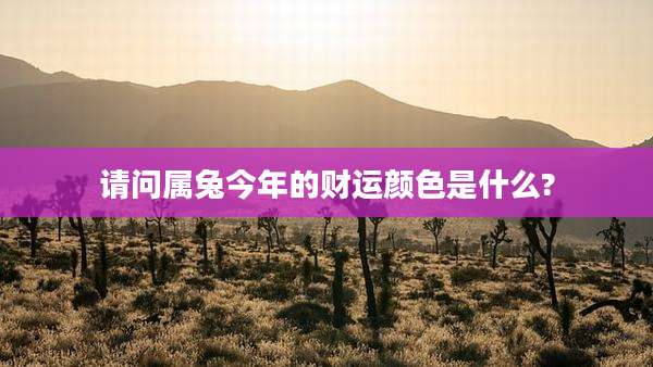 请问属兔今年的财运颜色是什么?