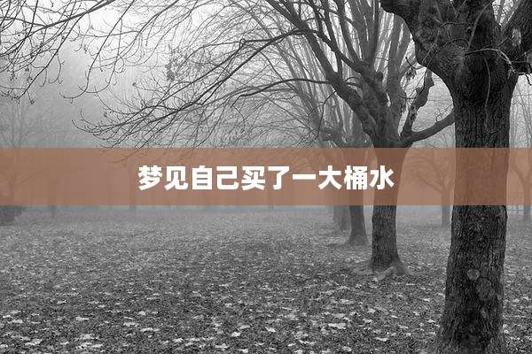 梦见自己买了一大桶水