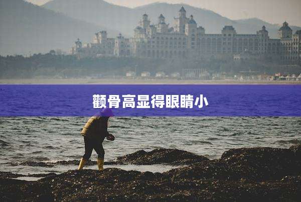 颧骨高显得眼睛小