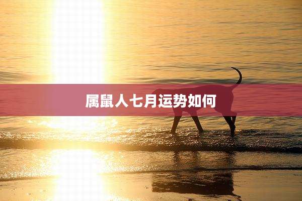 属鼠人七月运势如何